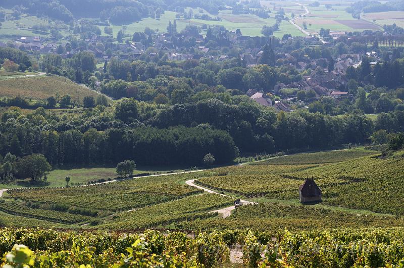 View from Menetru-le-Vignoble IMGP2794.jpg